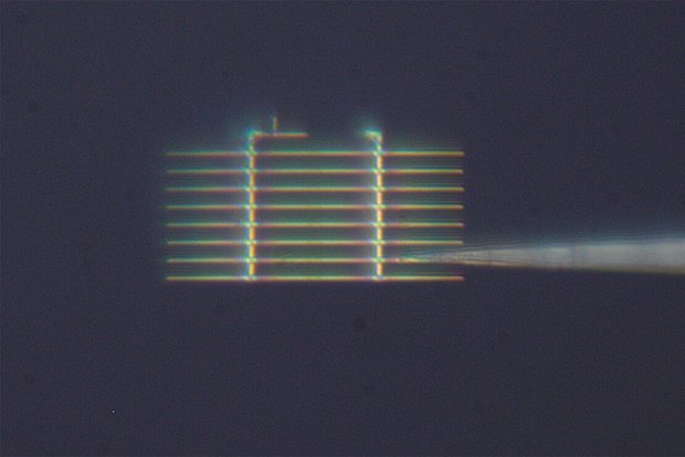 owl_detail_620_0e5806f5bd6a2e4a9c3d090349e30e2c