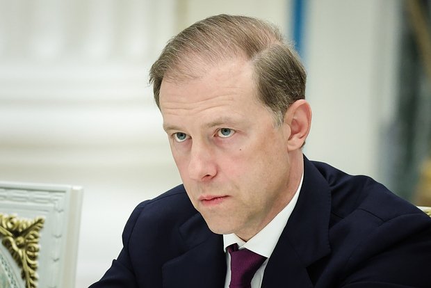 owl_detail_620_31bf9f3064f0cc95b67a02d52fa7efef