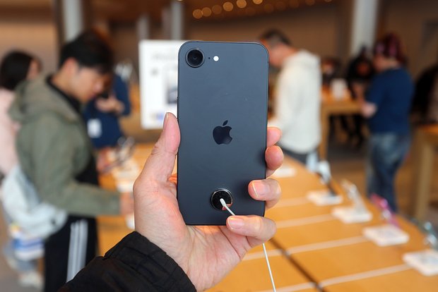 owl_detail_620_43b8a1e56025bd3ccfe1b6d6e7d32d03