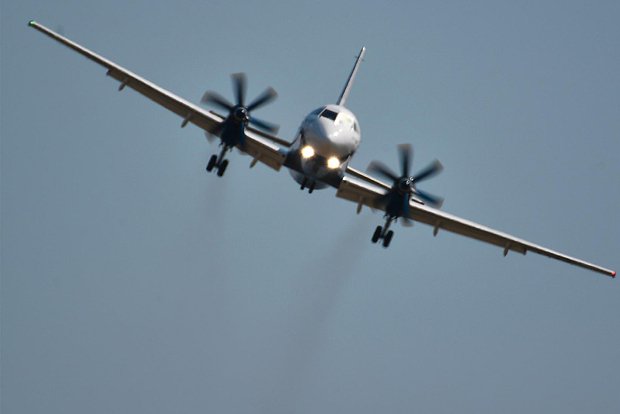 owl_detail_620_4fff839c7671bff2bc90723a2ab41da0