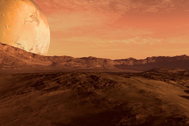 owl_detail_620_522806eb94dac9ad4f35d27819aa2323