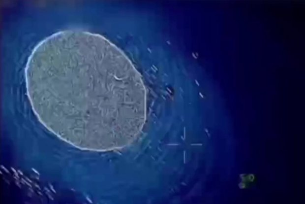 owl_detail_620_67b14af449979840419168579b6f8f3b