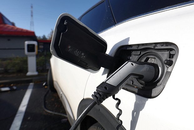 owl_detail_620_871d85bfd421b6d4448299454a144bbd