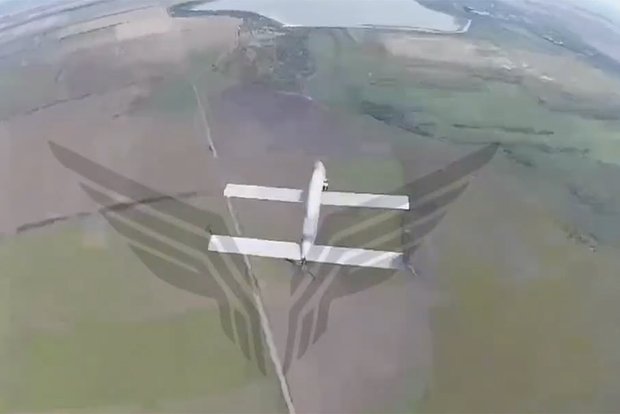 owl_detail_620_8a90c4c38c380587715337b7edeed0a0