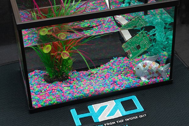 owl_detail_620_9730222a1d4b1e4da1c245c0c5c28c77