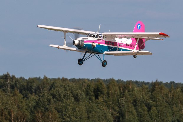 owl_detail_620_9ed11ffda3f507877064646ba884d7fd