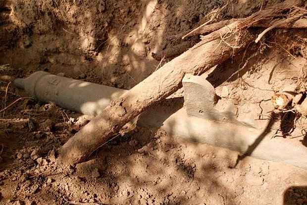 owl_detail_620_e4cbc6094f6f0b6e540780a9e3742cae