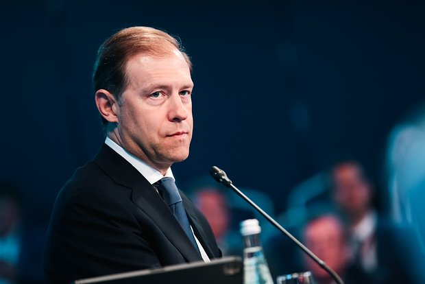 owl_detail_620_f19187d49c8435378aa1fa4e25f86a3e